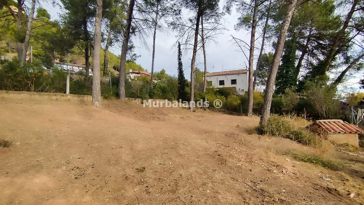 Foto del anuncio Ref. 00005275