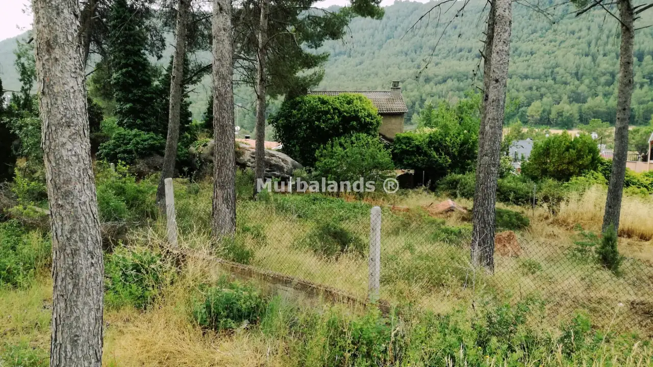 Foto del anuncio Ref. 00005275