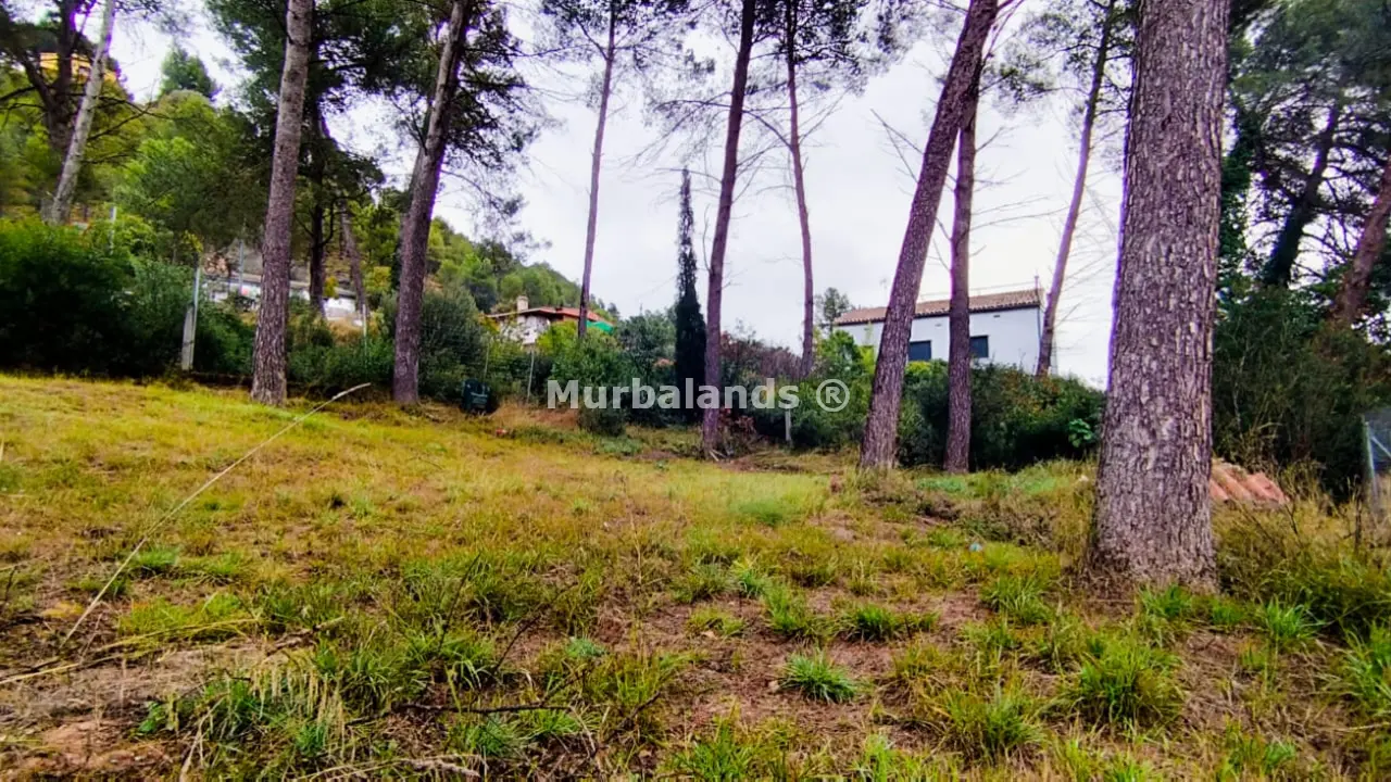 Foto del anuncio Ref. 00005275