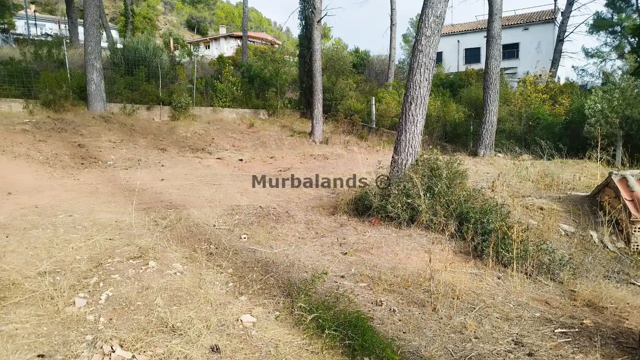 Foto del anuncio Ref. 00005275