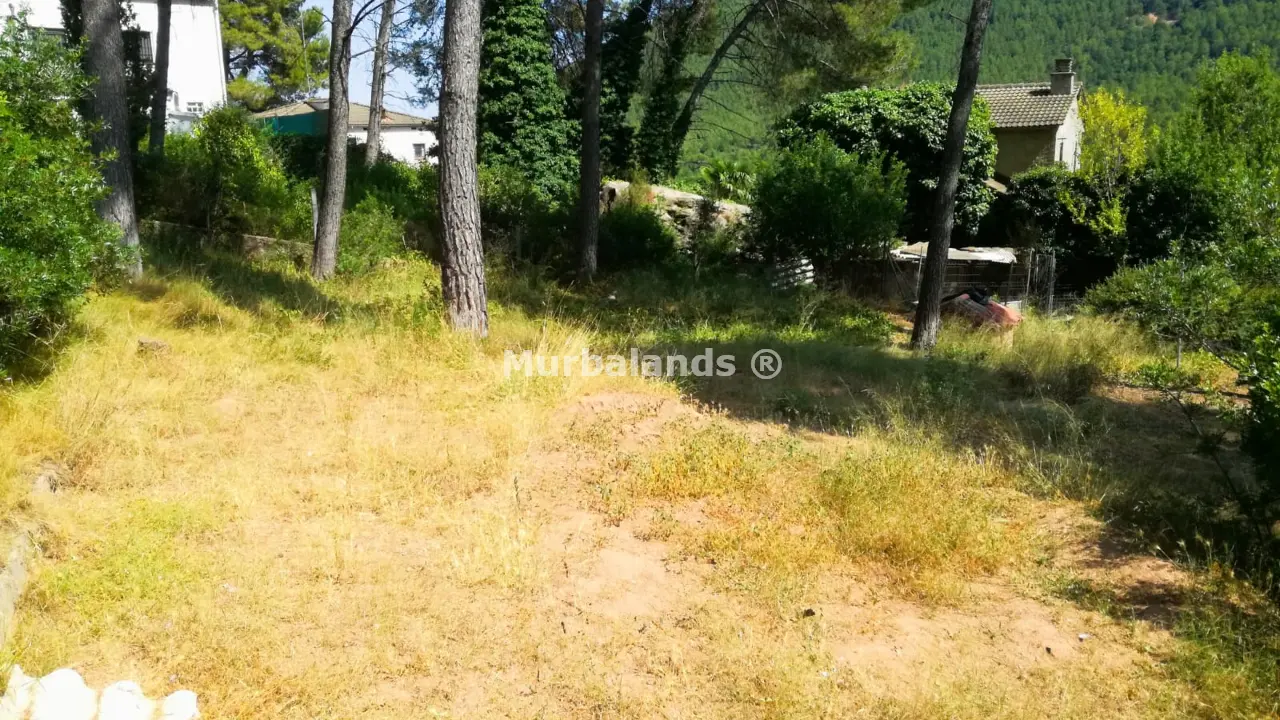 Foto del anuncio Ref. 00005275