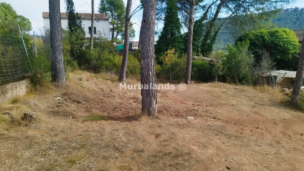 Foto del anuncio Ref. 00005275