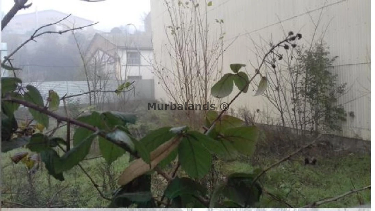 Foto de un terreno o una obra parada para mostrar en el detalle del inmueble