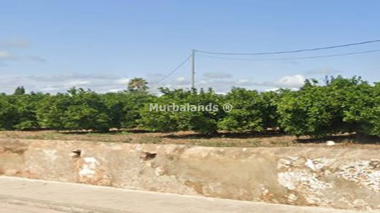 Foto de un terreno o una obra parada para mostrar en el detalle del inmueble