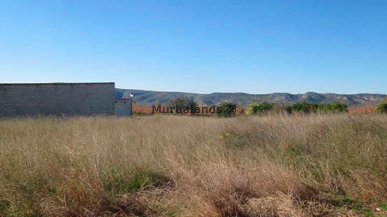 Foto de un terreno o una obra parada para mostrar en el detalle del inmueble
