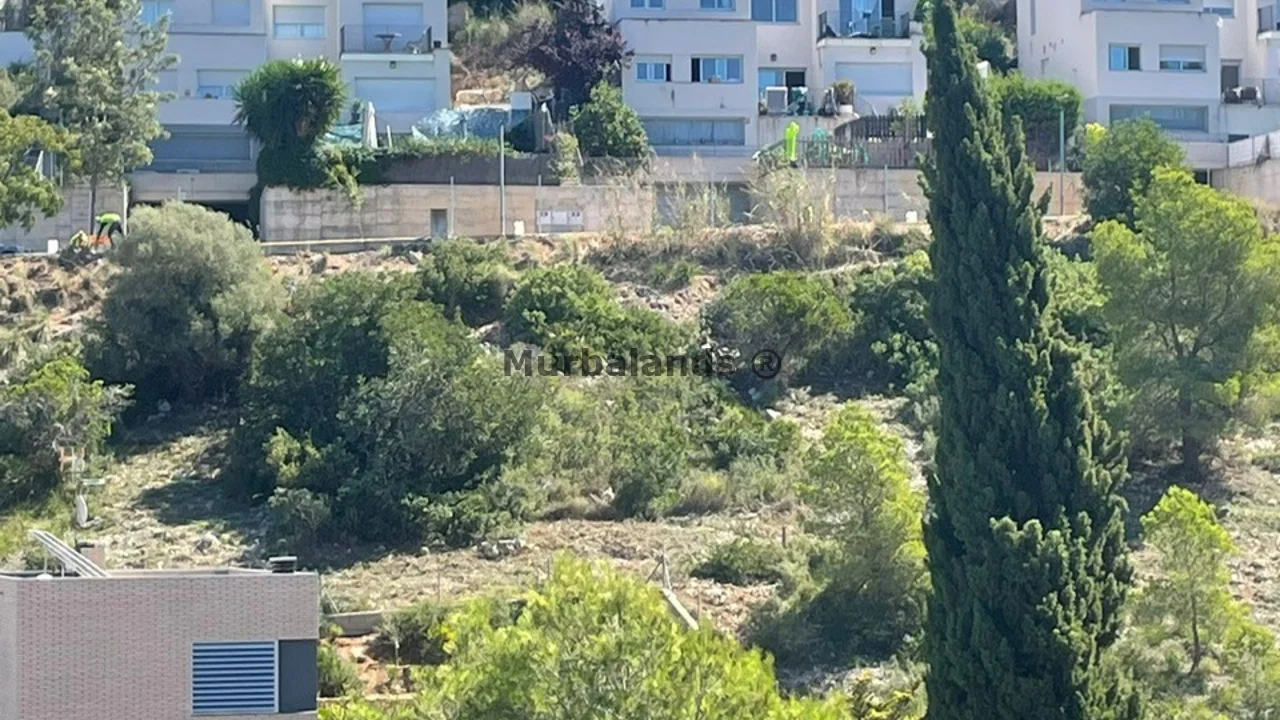 Terreno destacado