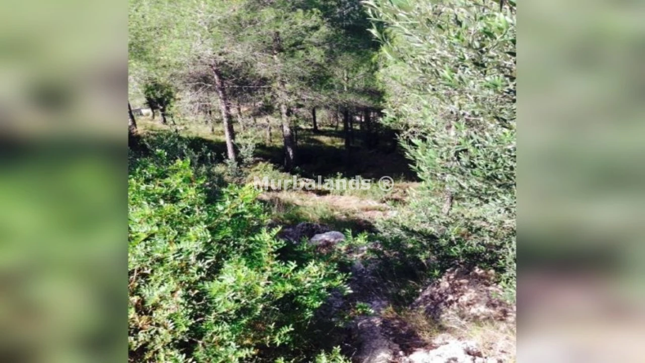 Foto de un terreno o una obra parada para mostrar en el detalle del inmueble
