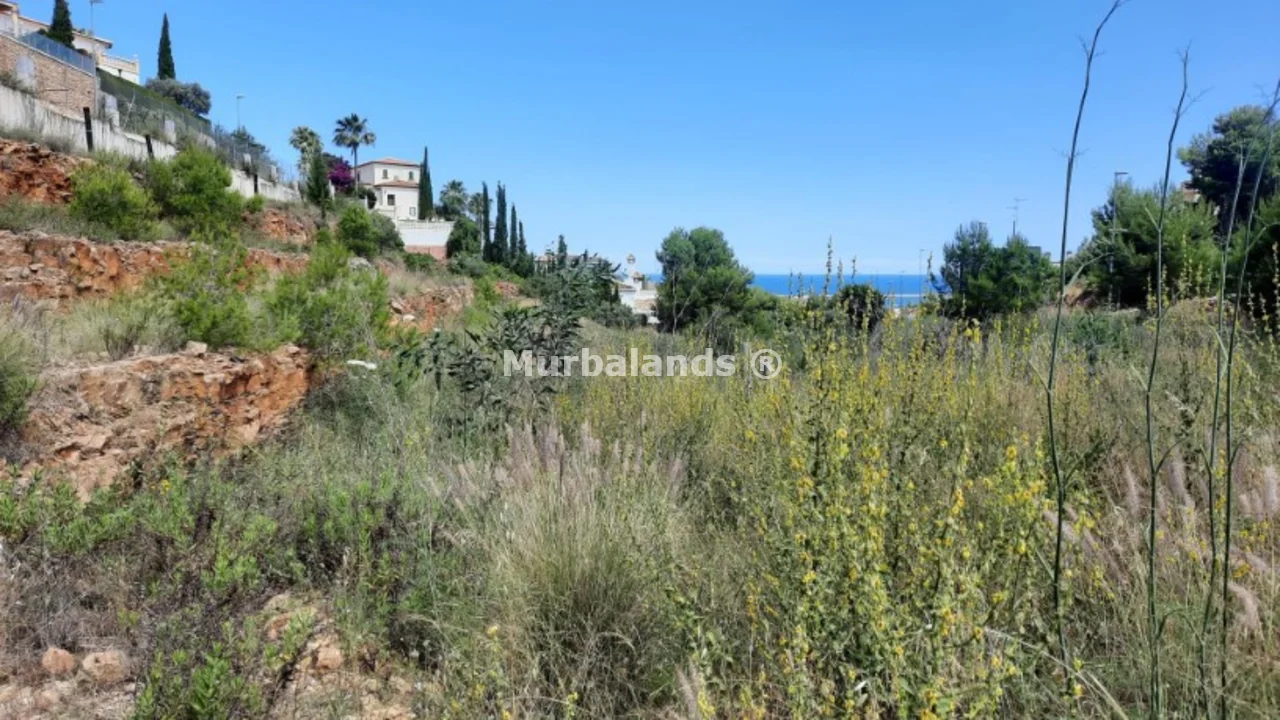 Foto de un terreno o una obra parada para mostrar en el detalle del inmueble