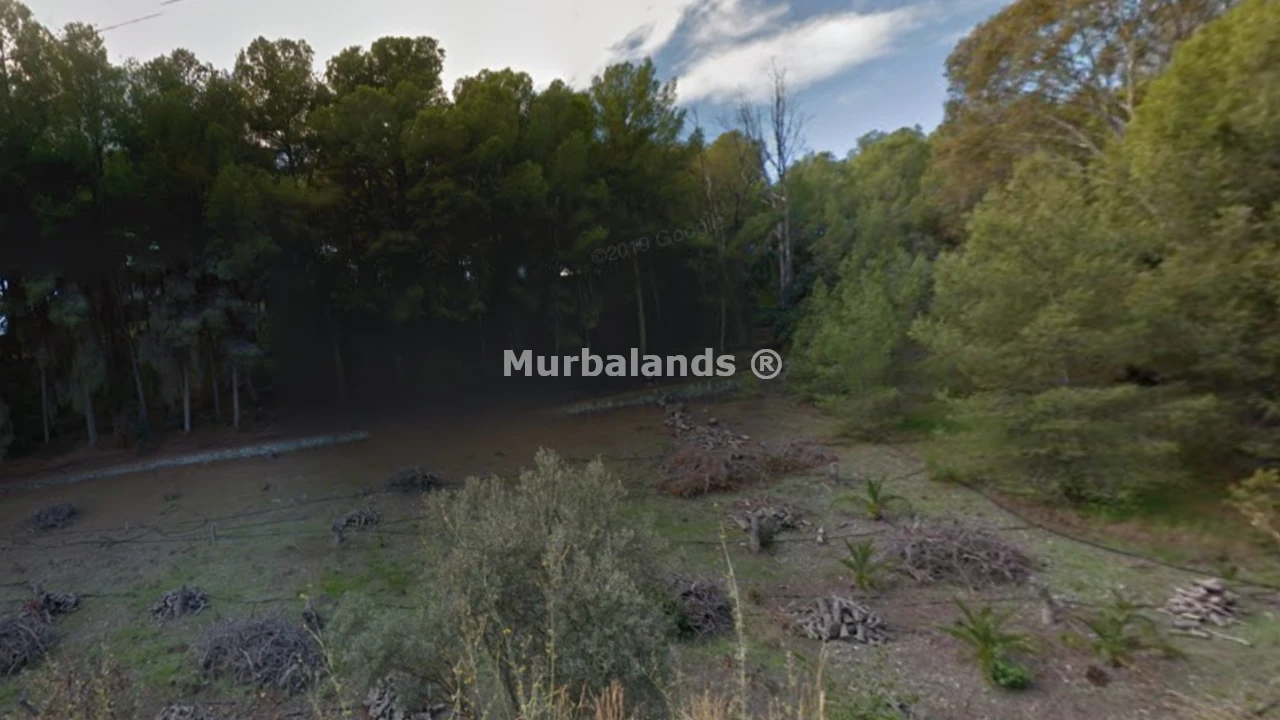 Foto de un terreno o una obra parada para mostrar en el detalle del inmueble