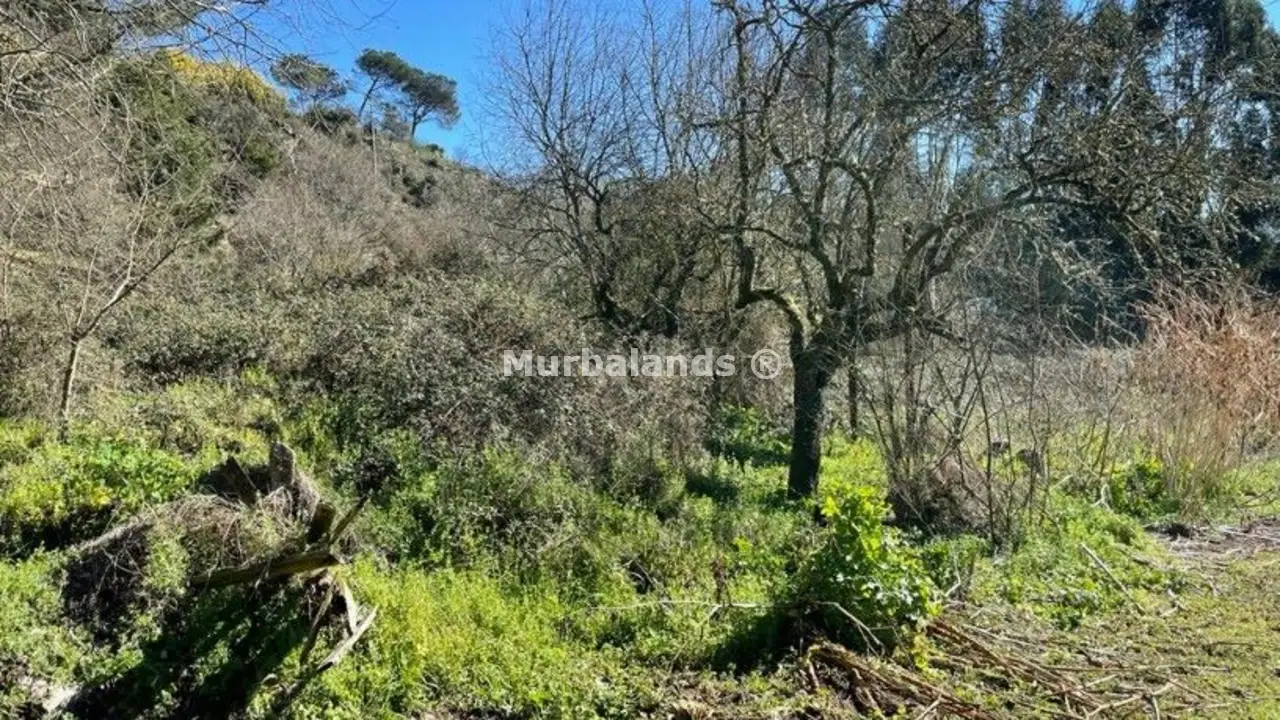 Terreno destacado