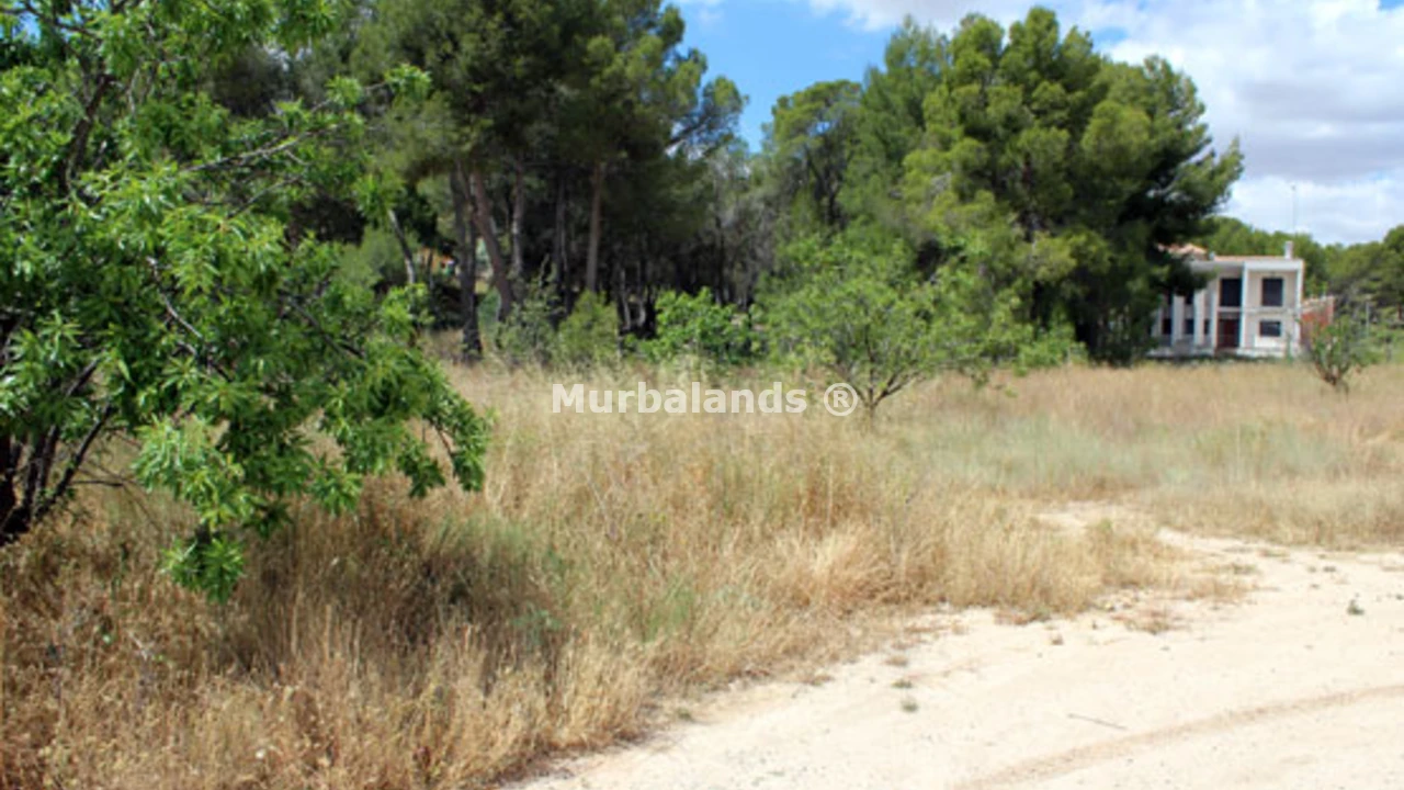 Foto de un terreno o una obra parada para mostrar en el detalle del inmueble