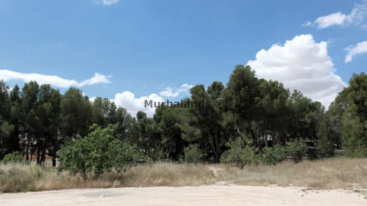 Foto de un terreno o una obra parada para mostrar en el detalle del inmueble