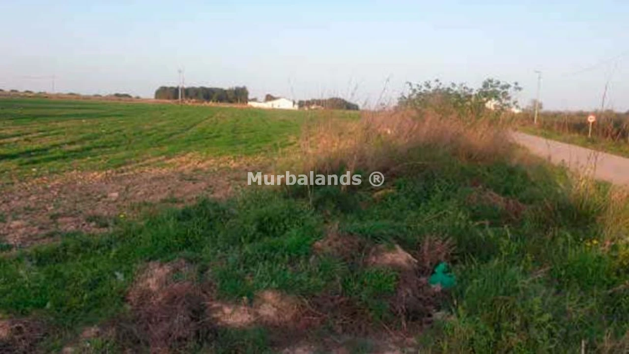 Foto de un terreno o una obra parada para mostrar en el detalle del inmueble