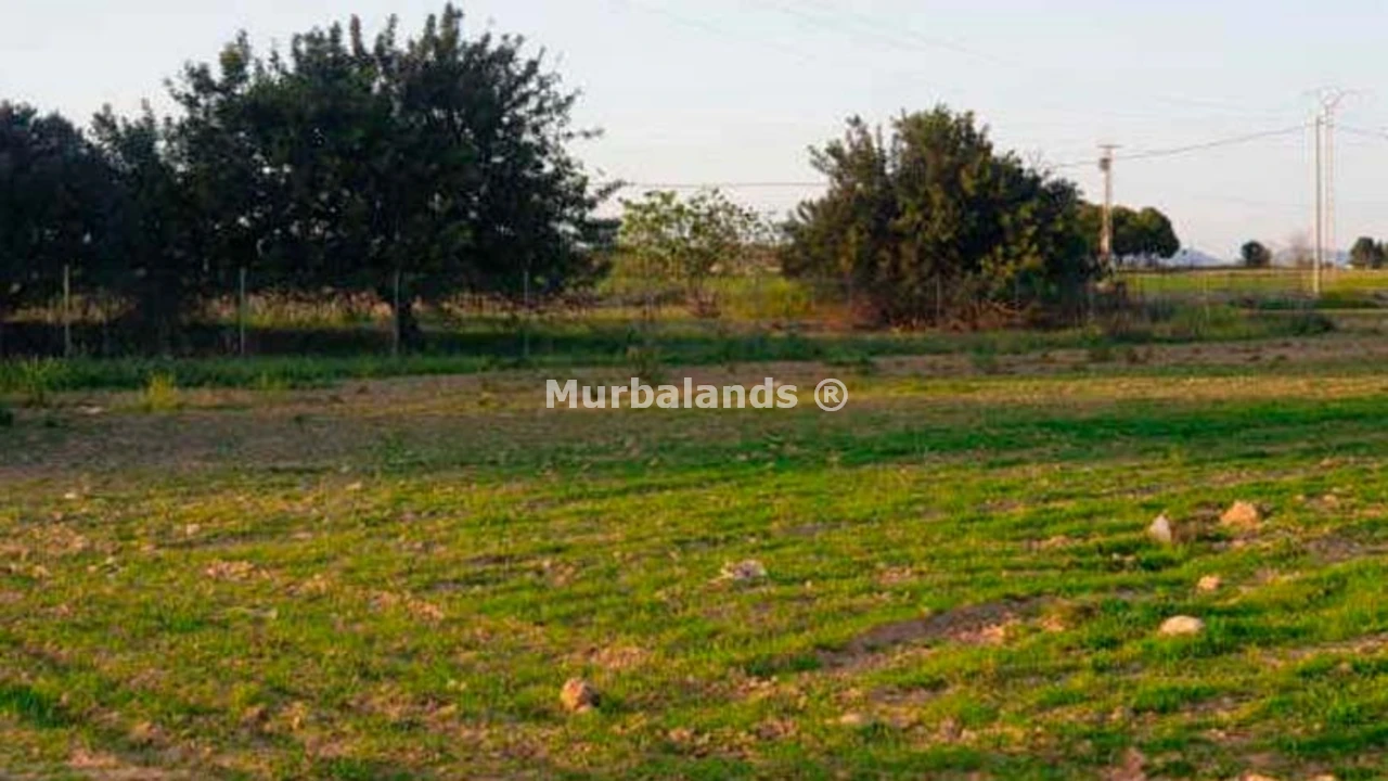 Foto de un terreno o una obra parada para mostrar en el detalle del inmueble