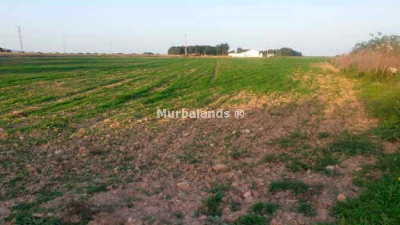 Foto de un terreno o una obra parada para mostrar en el detalle del inmueble