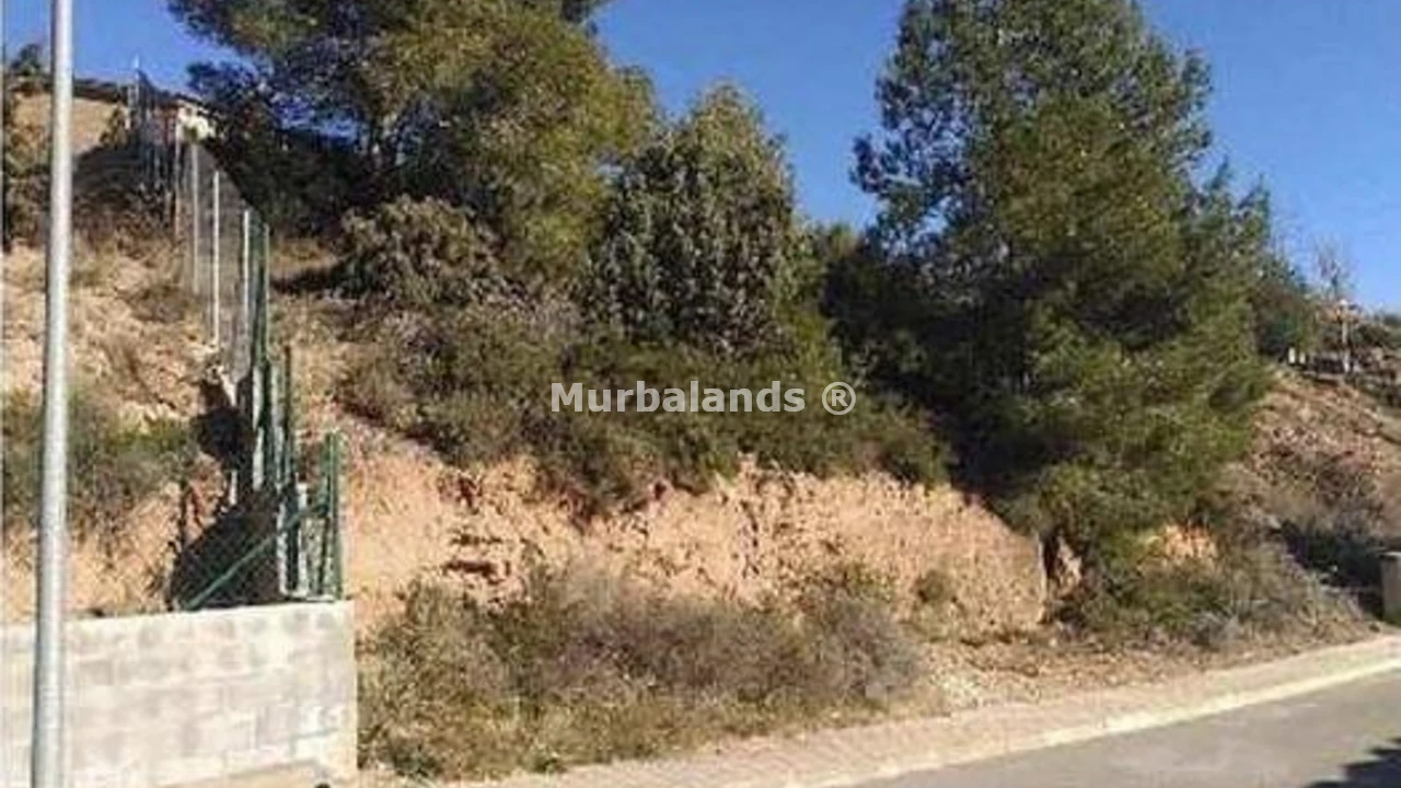 Terreno destacado