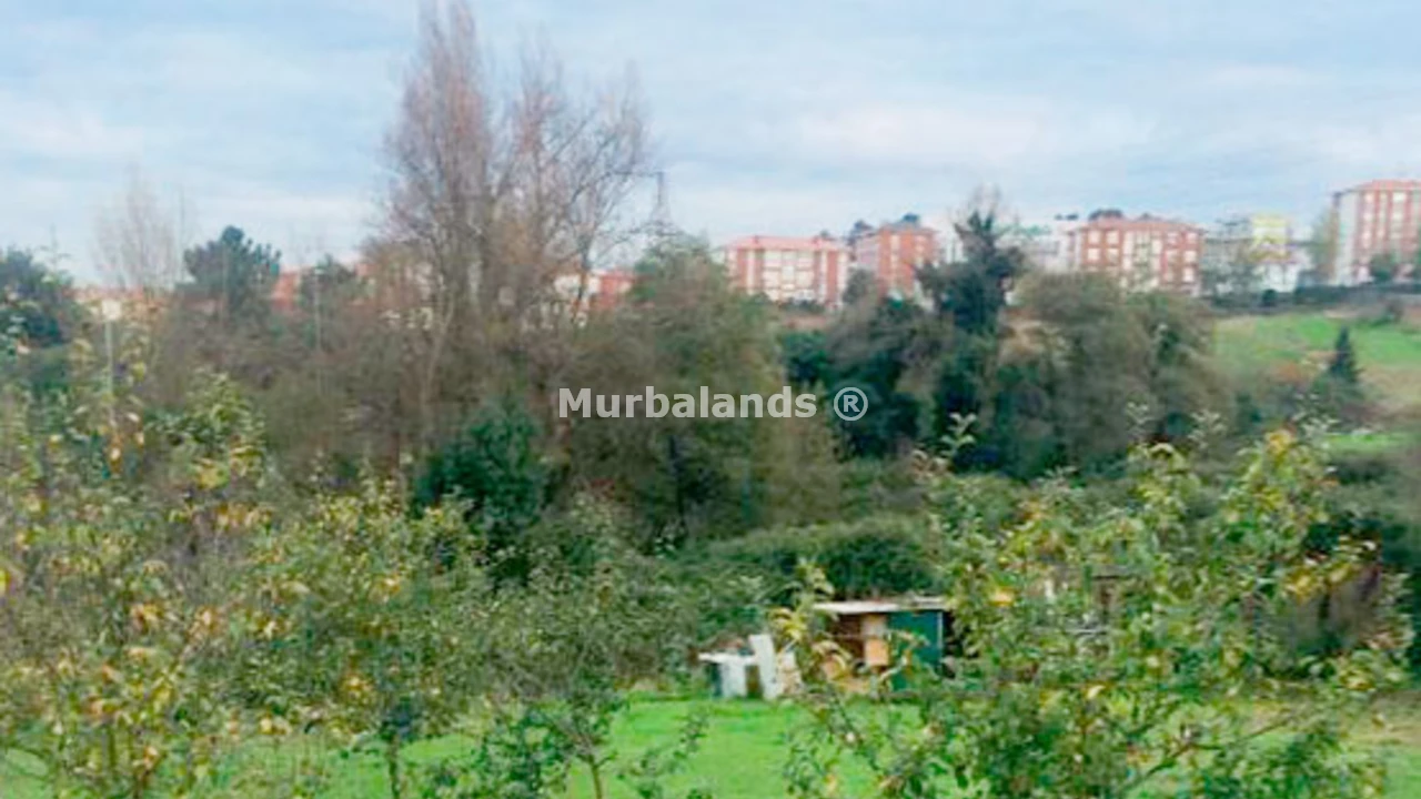 Foto de un terreno o una obra parada para mostrar en el detalle del inmueble