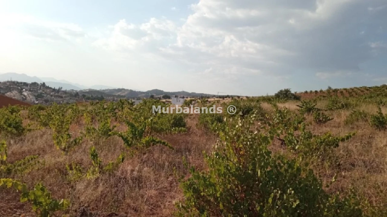 Foto de un terreno o una obra parada para mostrar en el detalle del inmueble