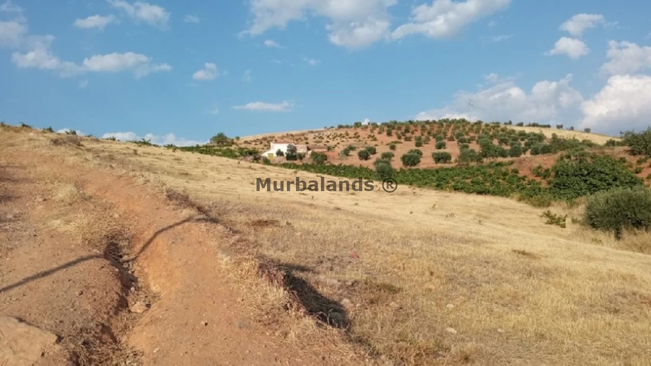 Foto de un terreno o una obra parada para mostrar en el detalle del inmueble