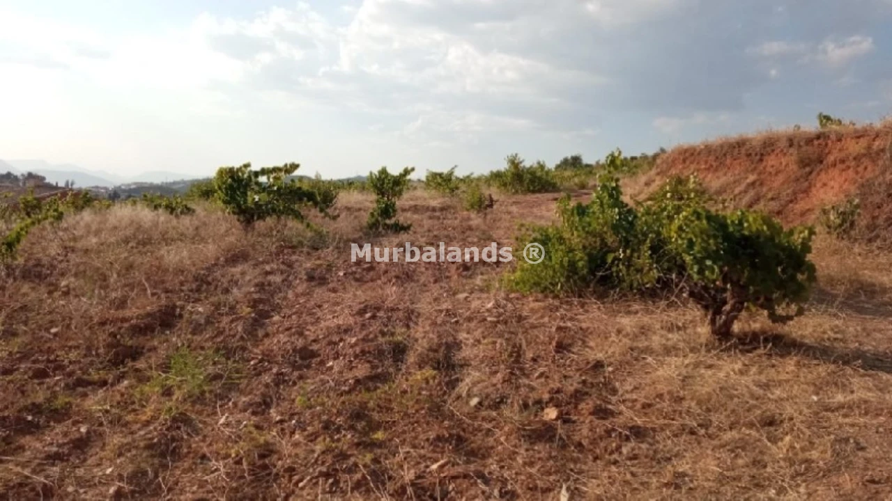 Foto de un terreno o una obra parada para mostrar en el detalle del inmueble