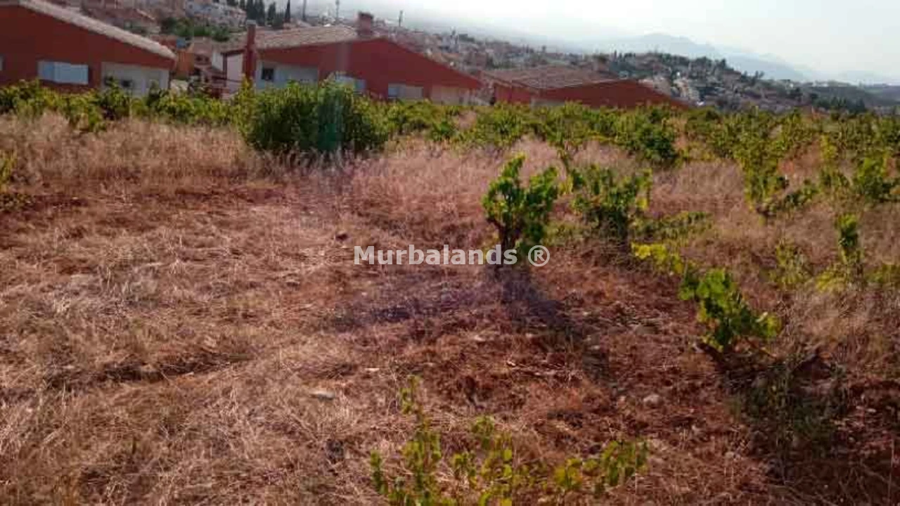 Foto de un terreno o una obra parada para mostrar en el detalle del inmueble