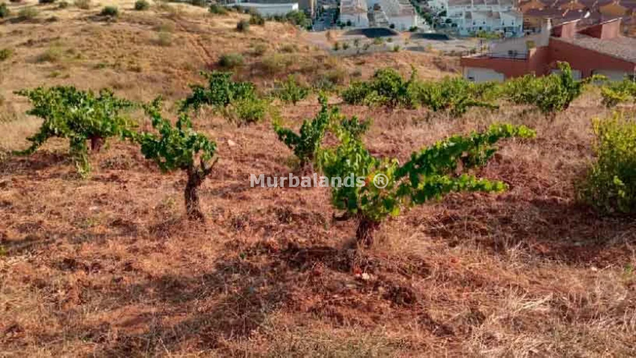 Foto de un terreno o una obra parada para mostrar en el detalle del inmueble