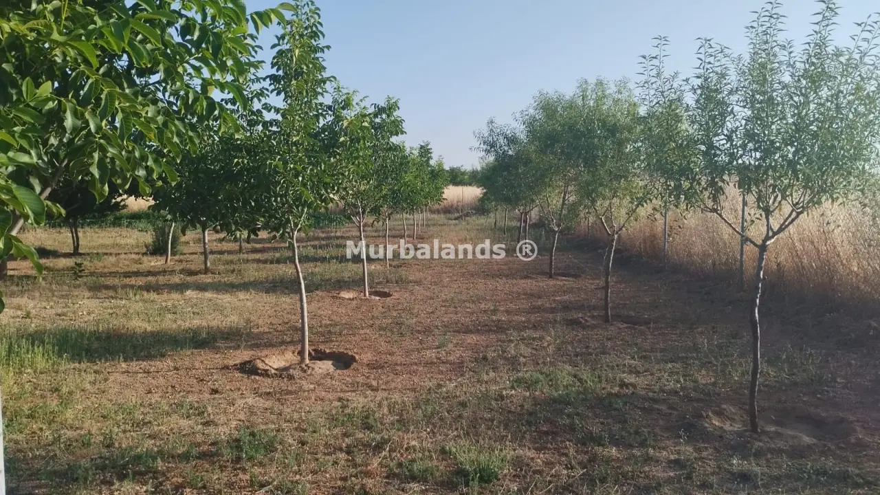 Foto del anuncio Ref. 00005236