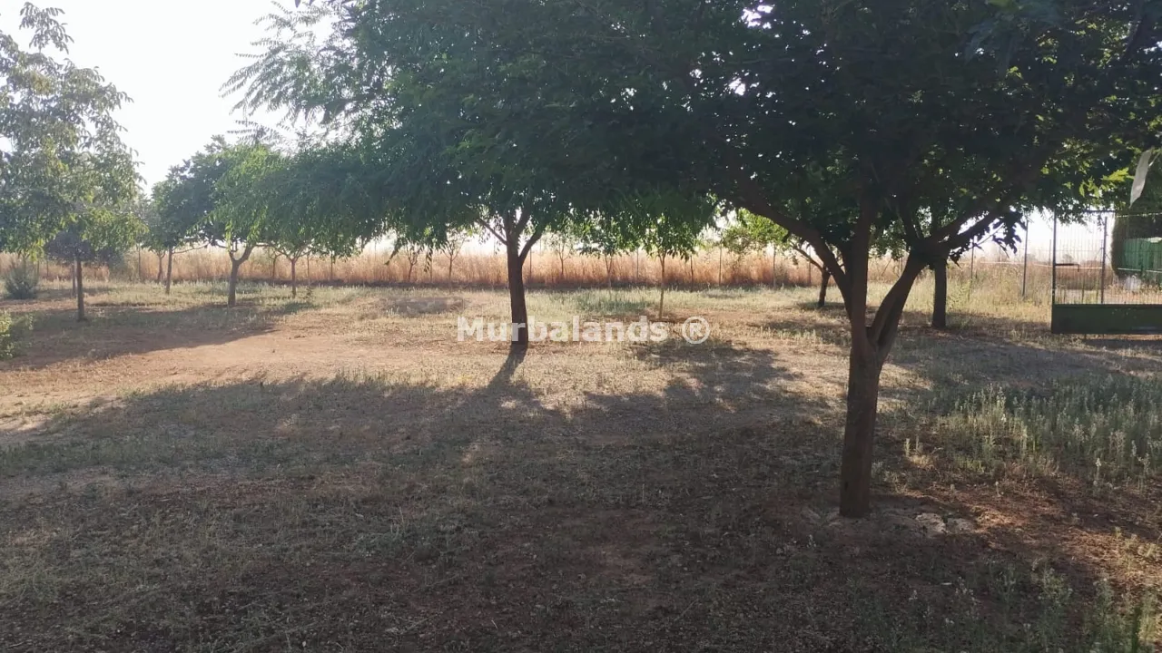 Foto del anuncio Ref. 00005236