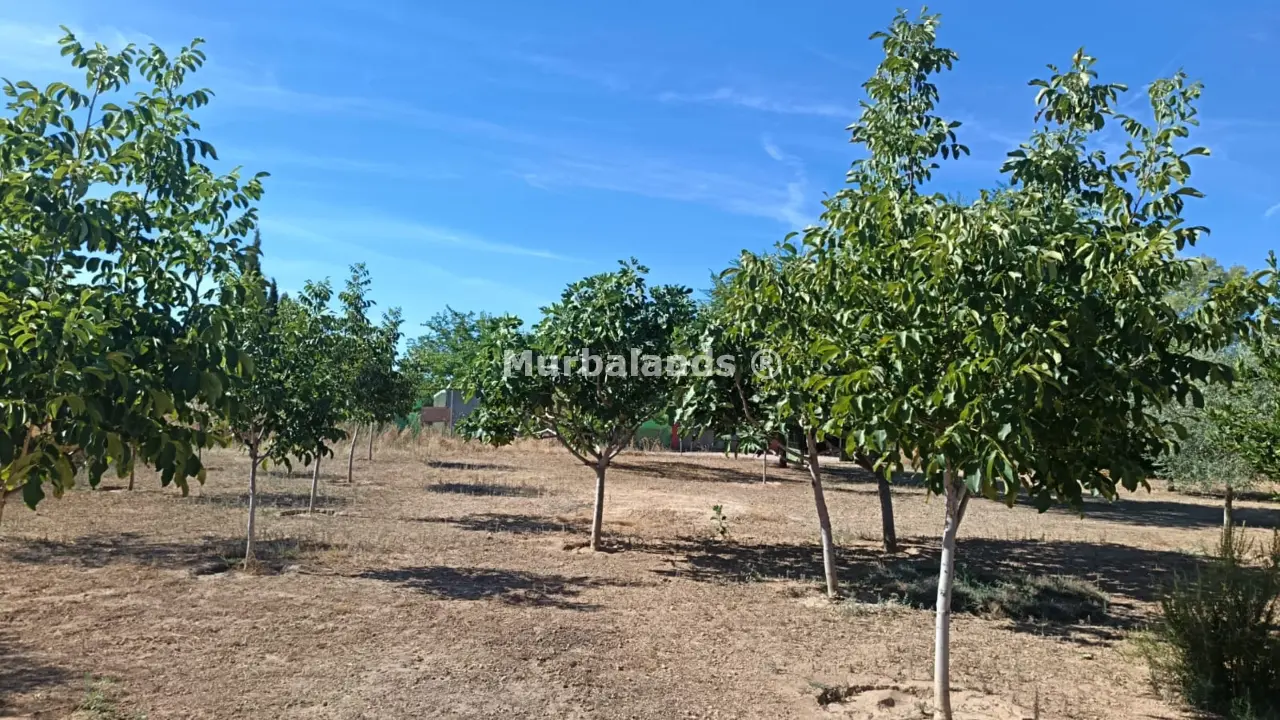 Foto del anuncio Ref. 00005236