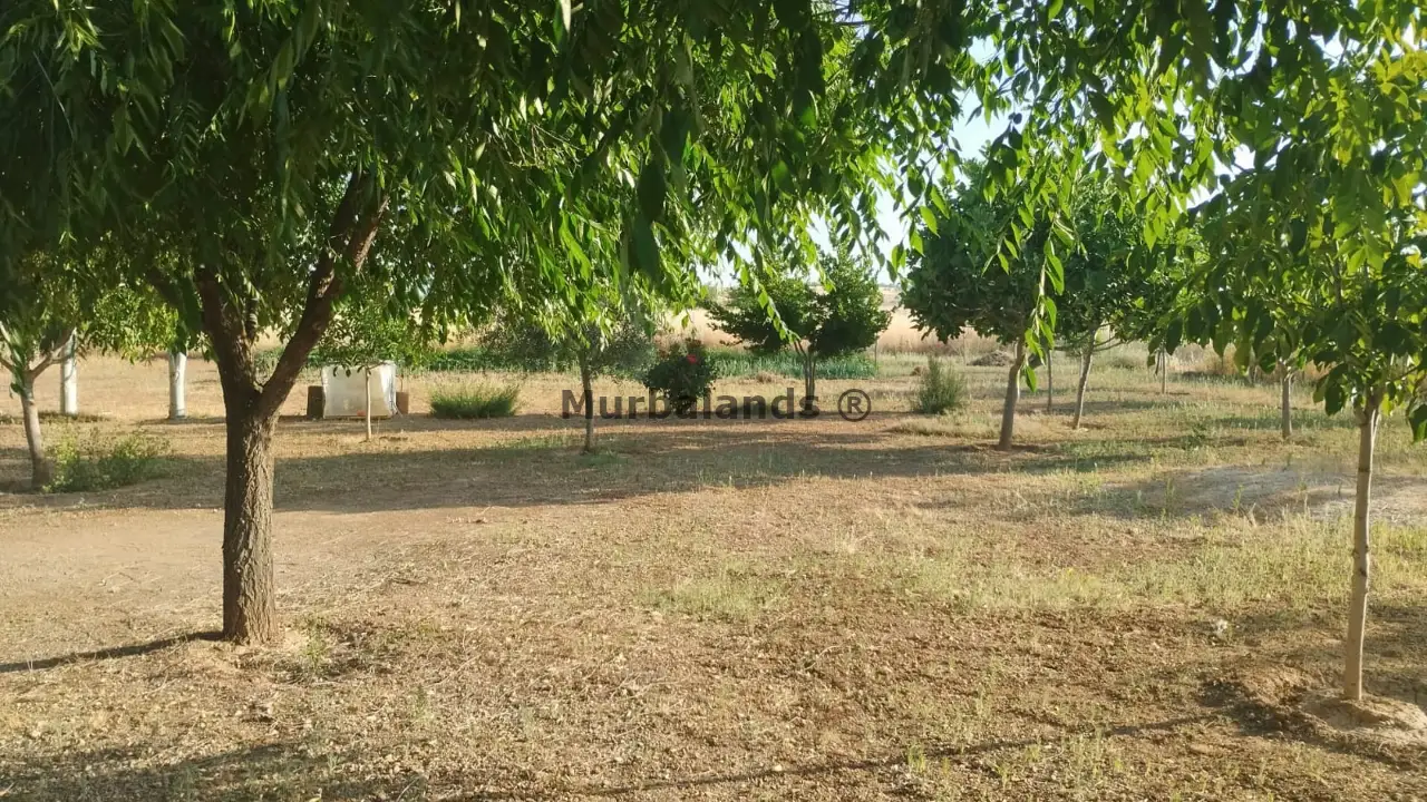 Foto del anuncio Ref. 00005236