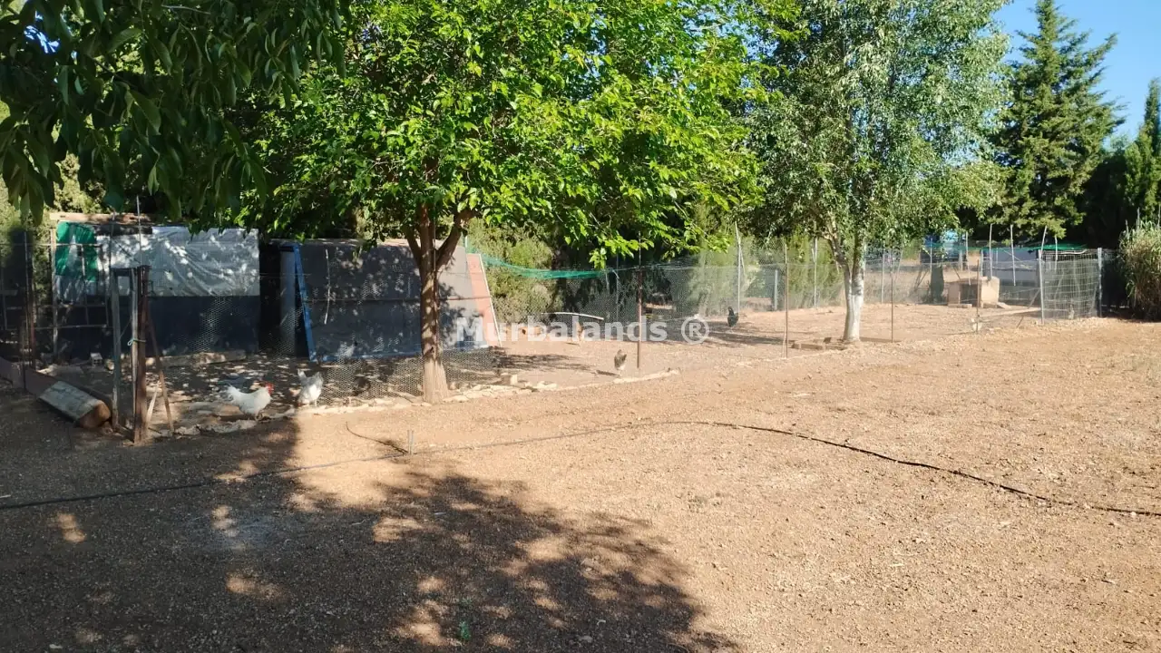 Foto del anuncio Ref. 00005236