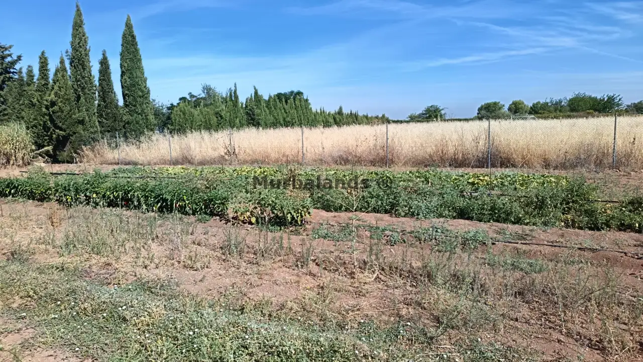 Foto del anuncio Ref. 00005236