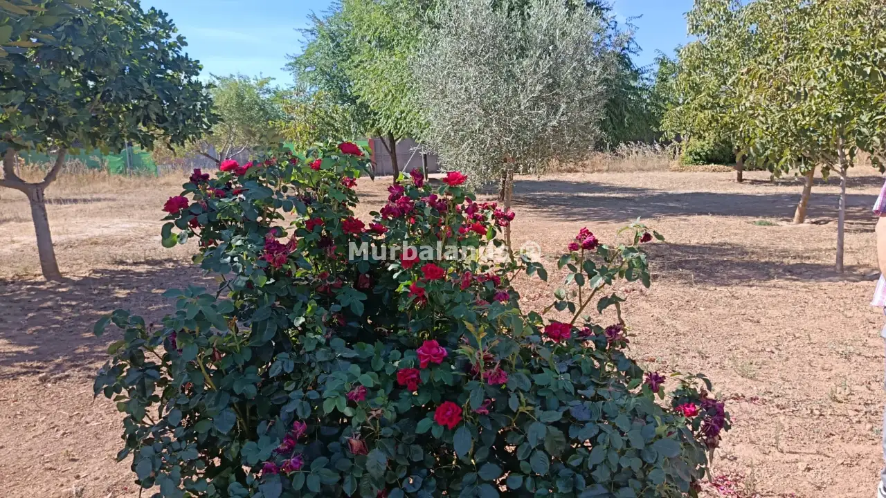 Foto del anuncio Ref. 00005236