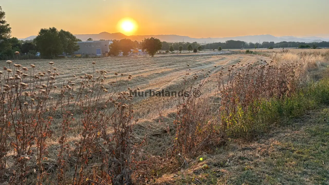 Terreno destacado