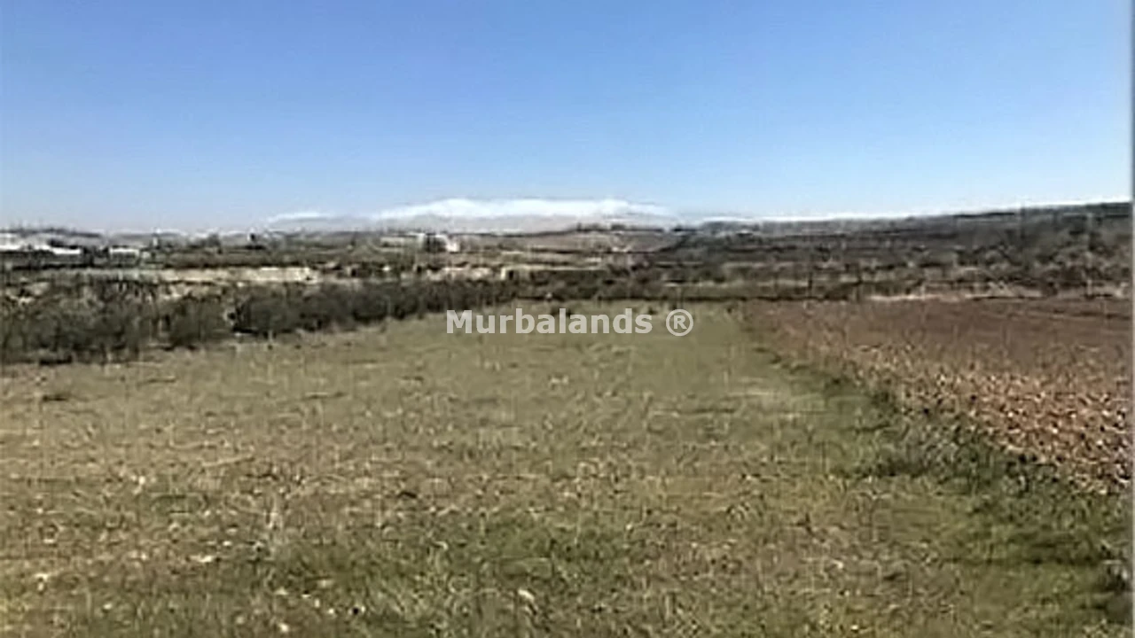 Foto del anuncio Ref. 00005360