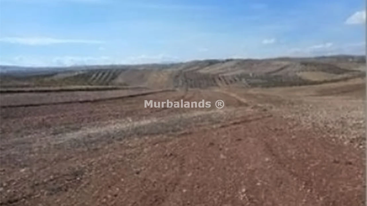 Foto del anuncio Ref. 00005360