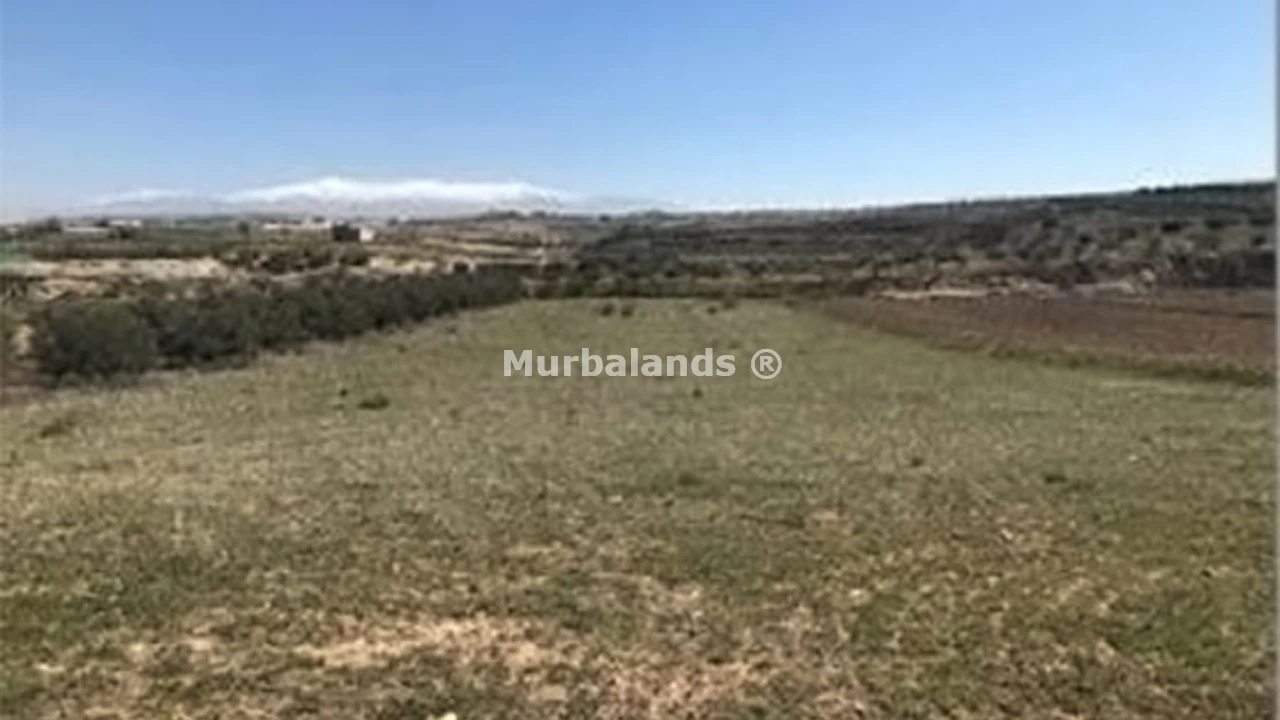Terreno destacado