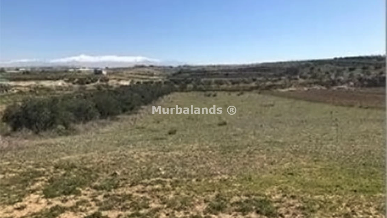 Foto del anuncio Ref. 00005360