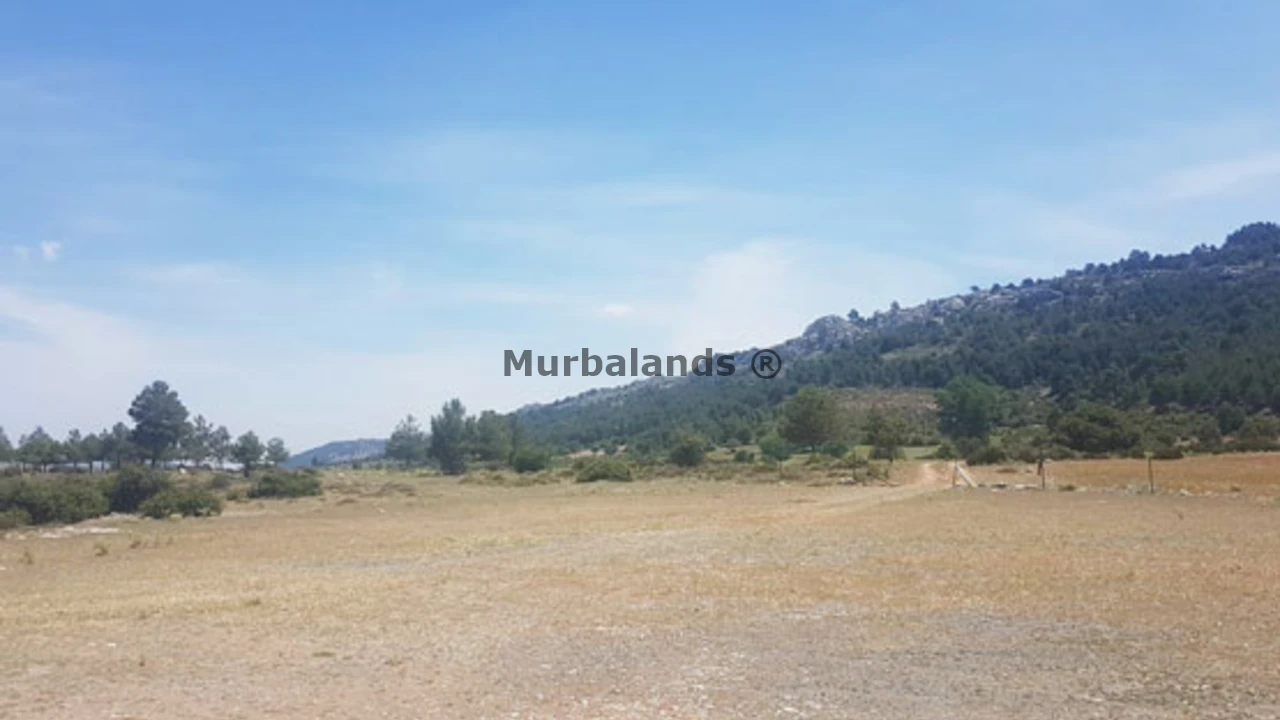 Foto de un terreno o una obra parada para mostrar en el detalle del inmueble