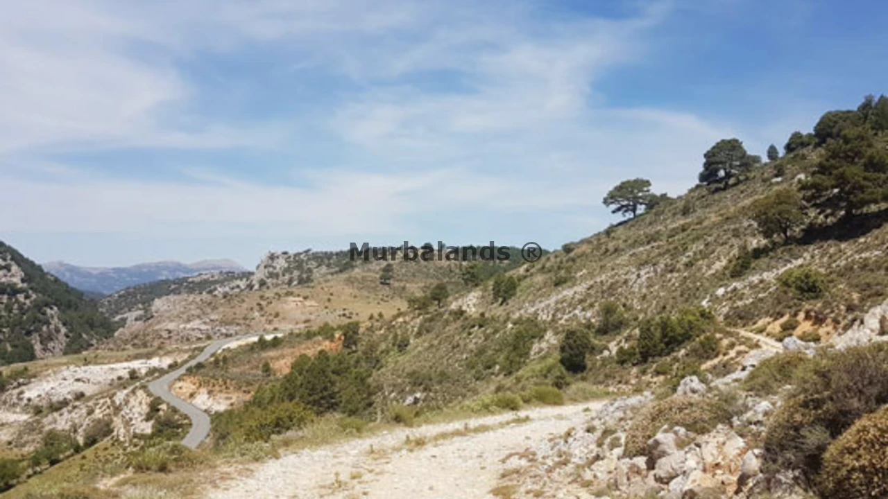 Foto de un terreno o una obra parada para mostrar en el detalle del inmueble