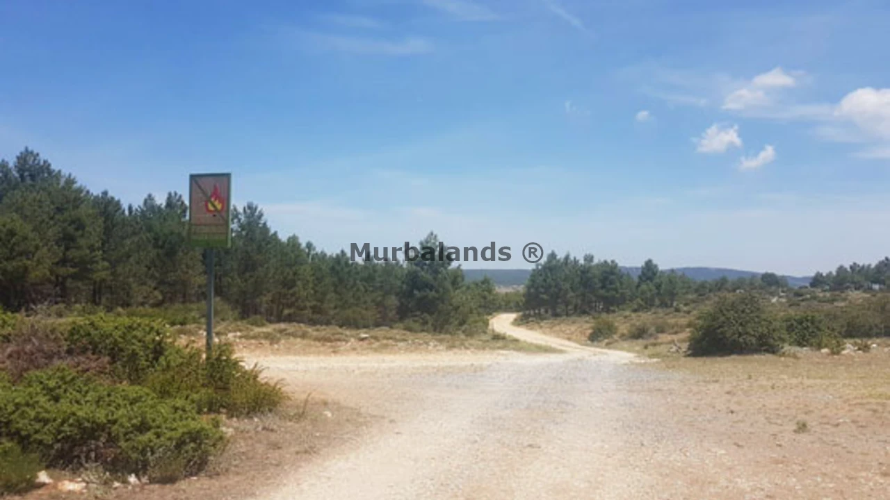 Foto de un terreno o una obra parada para mostrar en el detalle del inmueble