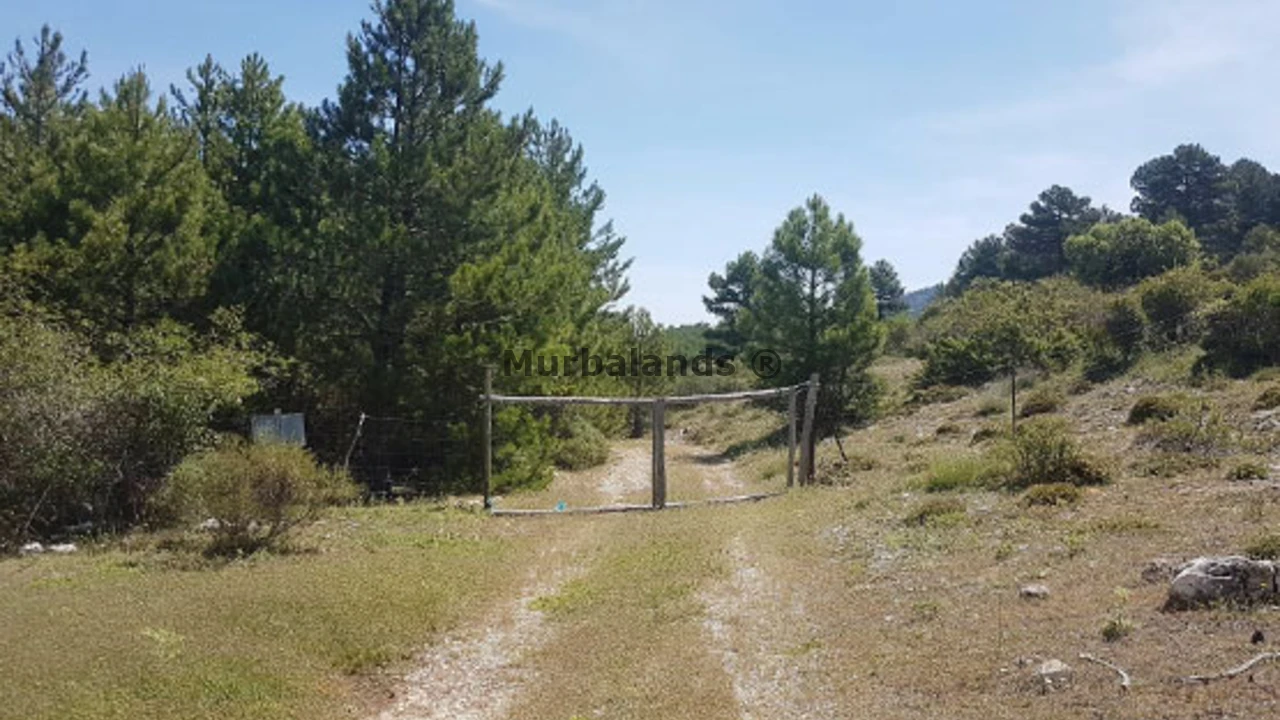 Foto de un terreno o una obra parada para mostrar en el detalle del inmueble