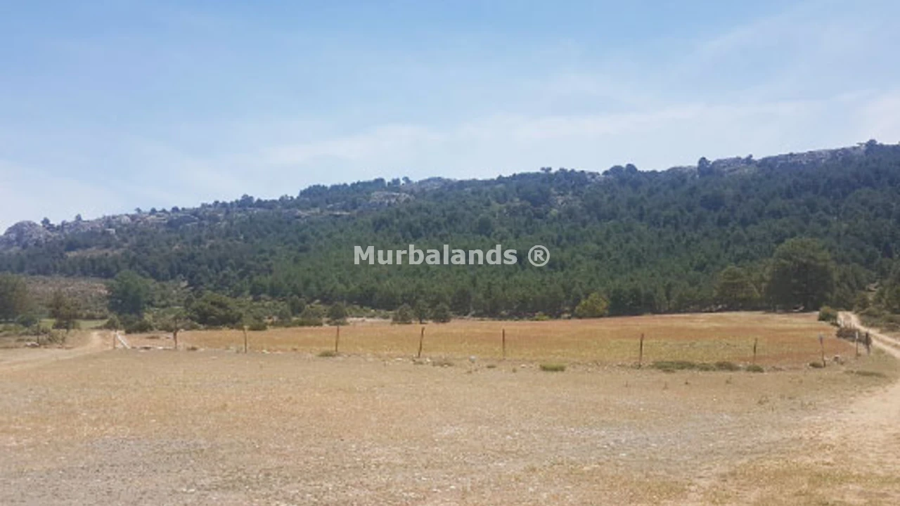 Foto de un terreno o una obra parada para mostrar en el detalle del inmueble