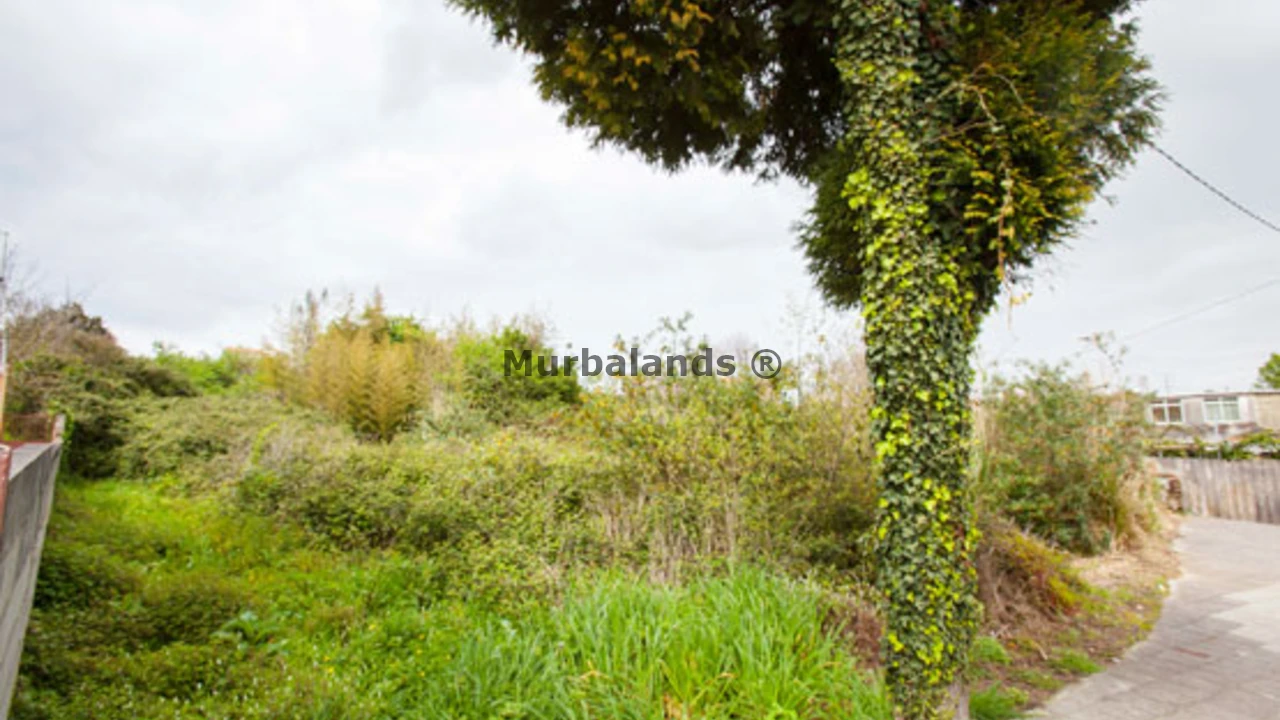 Foto de un terreno o una obra parada para mostrar en el detalle del inmueble