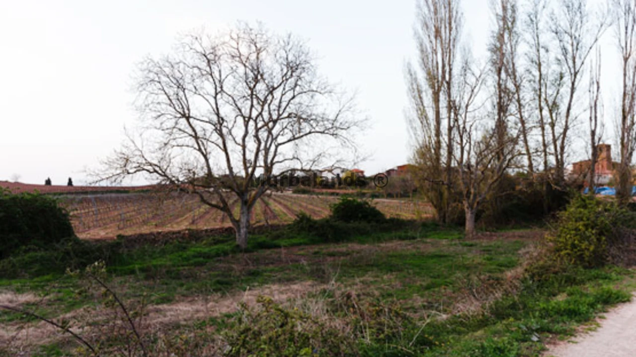Foto de un terreno o una obra parada para mostrar en el detalle del inmueble