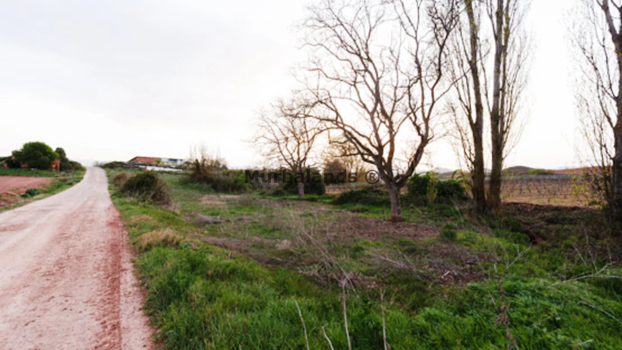 Foto de un terreno o una obra parada para mostrar en el detalle del inmueble