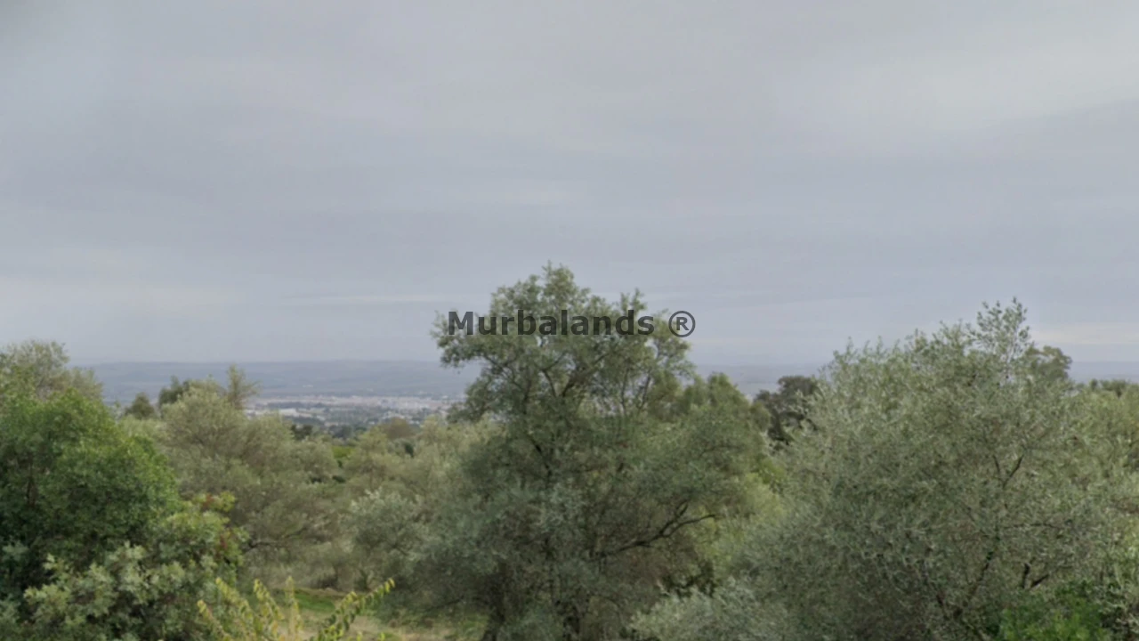 Foto de un terreno o una obra parada para mostrar en el detalle del inmueble