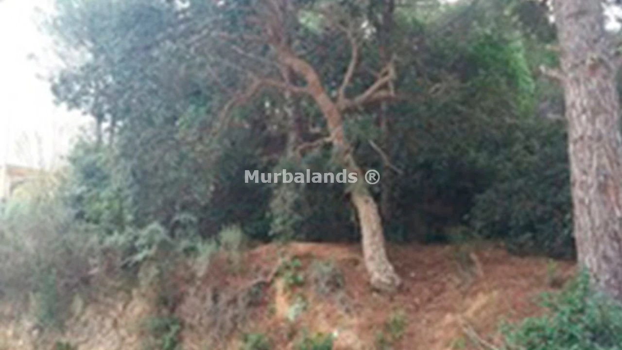 Foto de un terreno o una obra parada para mostrar en el detalle del inmueble
