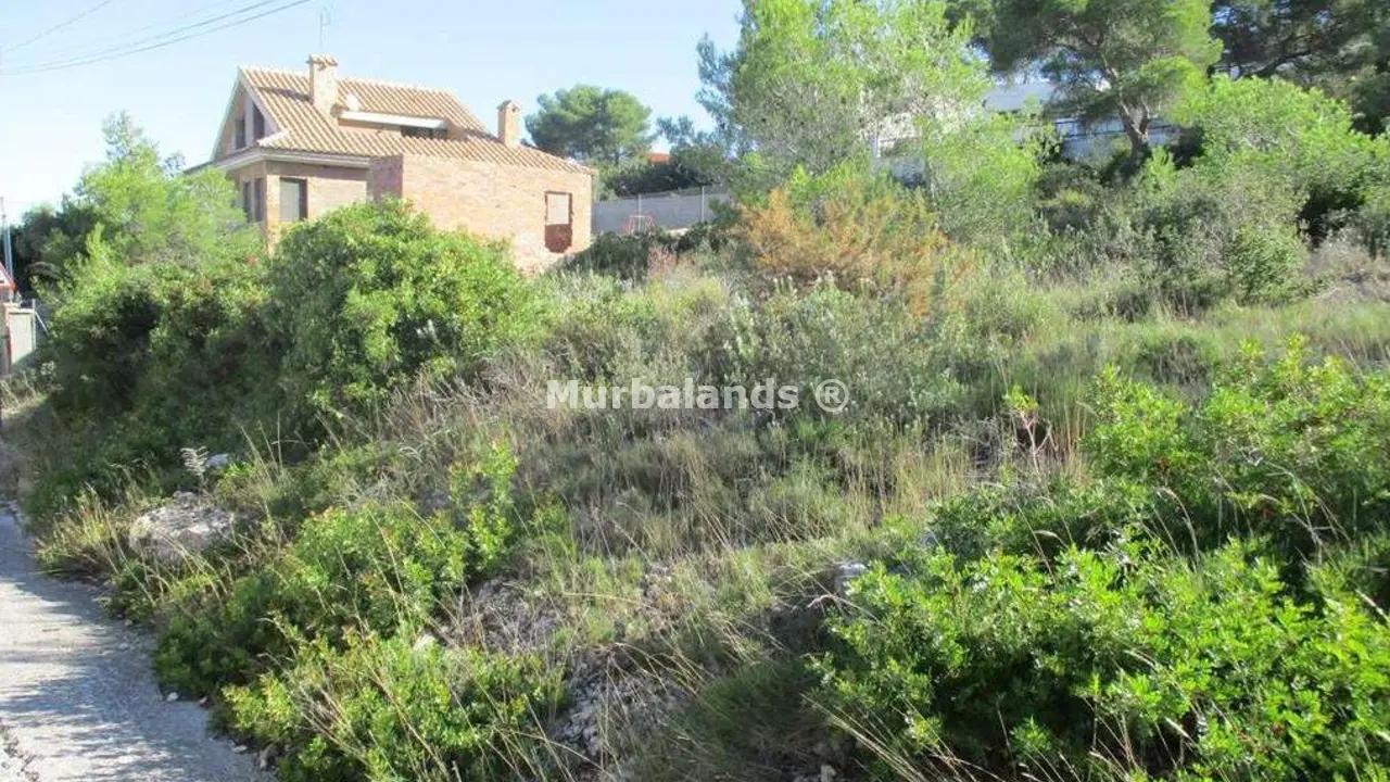 Terreno destacado