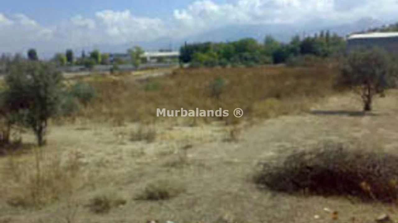 Terreno destacado
